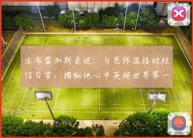 法布雷加斯亲述:与恩师温格的短信日常,揭秘他心中英超世界第一的三大理由