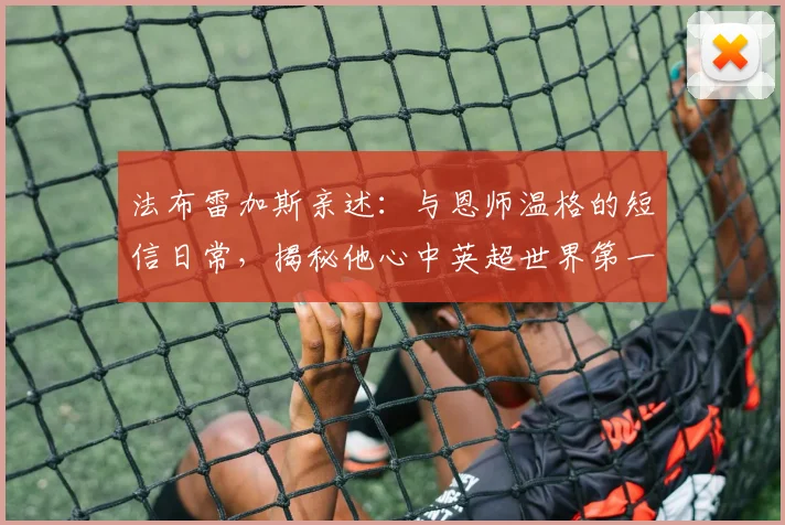 法布雷加斯亲述：与恩师温格的短信日常，揭秘他心中英超世界第一的三大理由